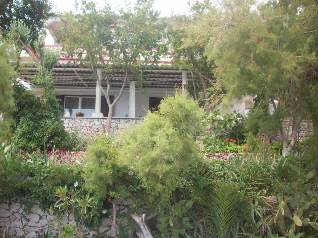Apartments Tomovic Lumbarda Luaran gambar
