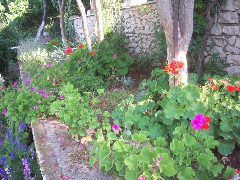 Apartments Tomovic Lumbarda Bilik gambar